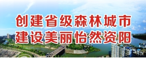 搔比AV创建省级森林城市 建设美丽怡然资阳