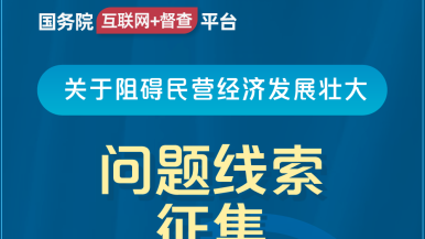 极品少萝自扣喷水国务院“互联网+督查”平台公开征集阻碍民营经济发展壮大问题线索